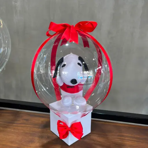 Box aerostatico snoopy rojo